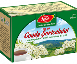 COADA SORICELULUI
